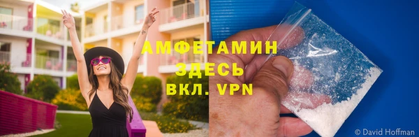 сатива Абаза