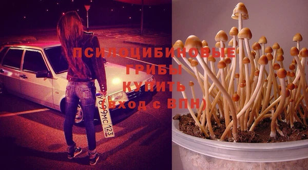мяу мяу мука Абдулино